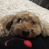 いち