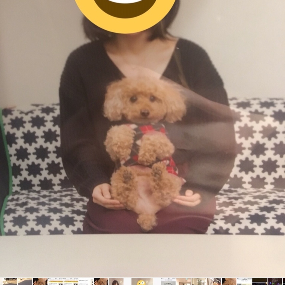 いちのカバー写真