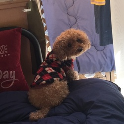 「良い休日」サムネイル2