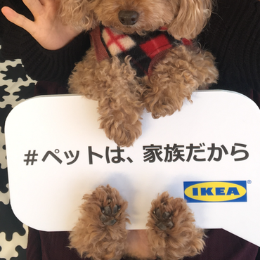 特技はこの座り方