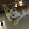テーブルの下がお気に入り