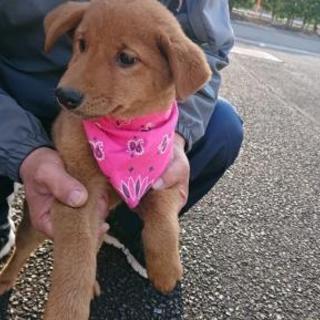 それぞれ家族ができました！！
