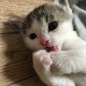 宜しくお願いします！