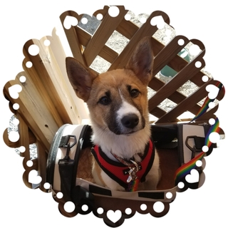 生後5〜6ヶ月可愛い女の子♫