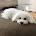 家族になってください。