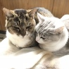 まさっちーズ