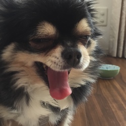 元気もりもり！