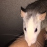 みきお３さん