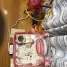 の写真