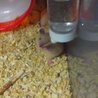 奇跡の地球 さん