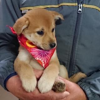 それぞれ譲渡されました！！