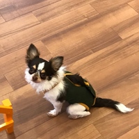 ジローJr.
