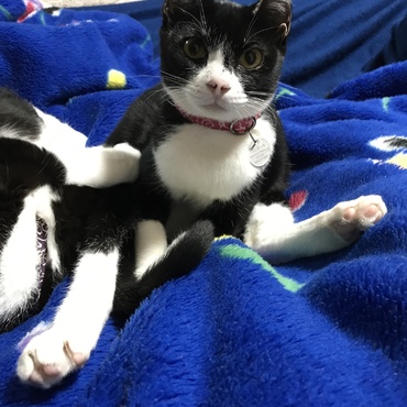 唯一の特技（？）スコ座り（？～？）