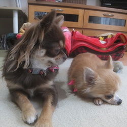 すっかり仲良し