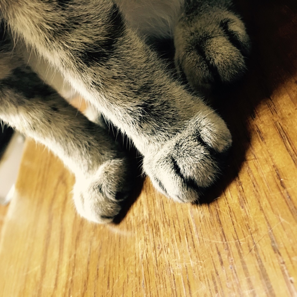 そーちゃんのカバー写真