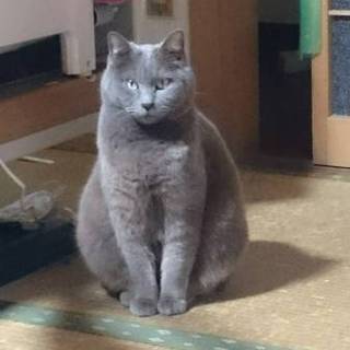 ひとりぼっち甘えん坊ちゃん