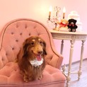 とっても人懐っこい男の子です♪