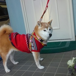 1周年お祝い　その①