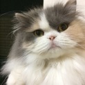 可愛がってくださる方募集中です。