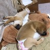 良いご縁に繋がりました。 サムネイル3