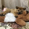 良いご縁に繋がりました。 サムネイル4