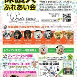 保護犬ふれあい会 サムネイル1