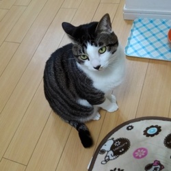 「１月近況」サムネイル3