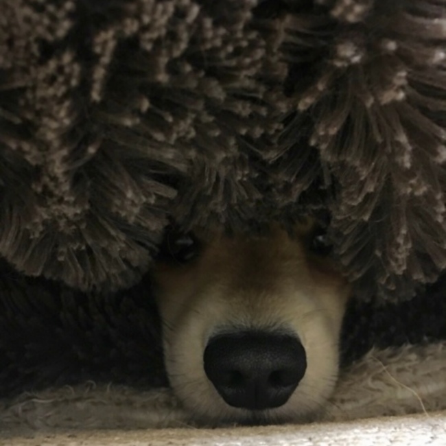koichiharulover777のカバー写真