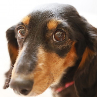 良いご縁に繋がりました。