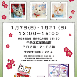 ねこざんまい譲渡会@東日本橋