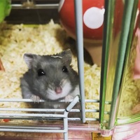 ふく