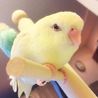 ゆき.