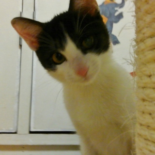 甘えたくてしょうがない女の子