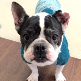 応募者様多数により募集を停止しました