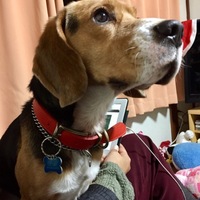 Ethan (イーサン)