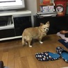 くうたろう