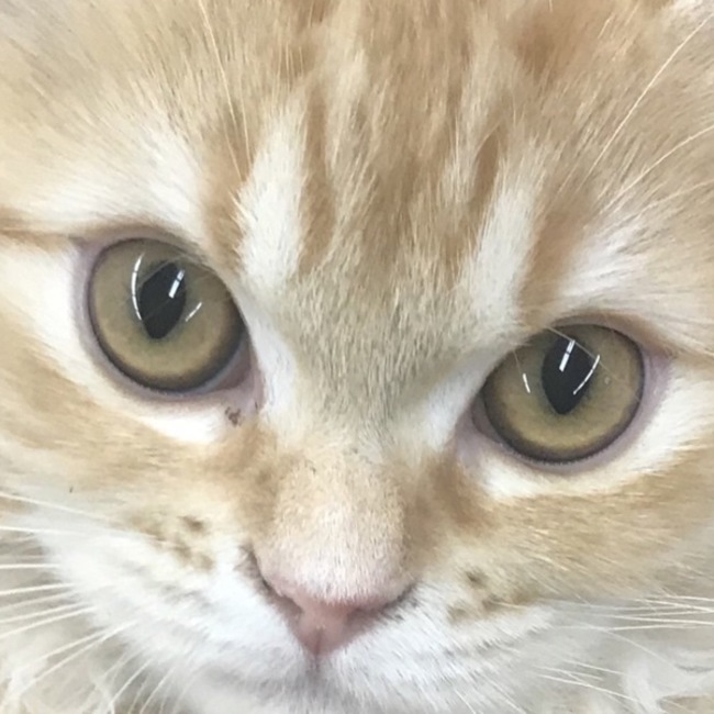 yasoo3のカバー写真