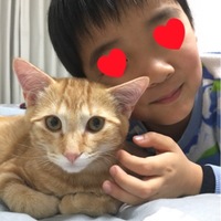 うずまきとらお