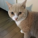 誰か飼ってくださいm(_ _)m
