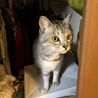 クローゼット探検ちう