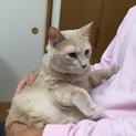 懐こいトトちゃん