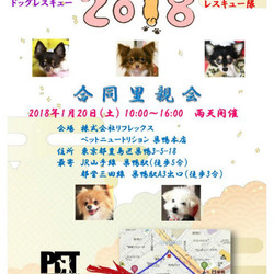 アイドッグ・レスキュー隊里親会 サムネイル2