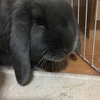 たくさんのご応募ありがとうございました。