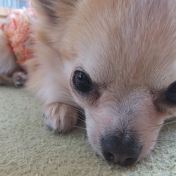 瞳の奥に潜む悲しみ