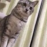 夜になると遊んでモード発令！