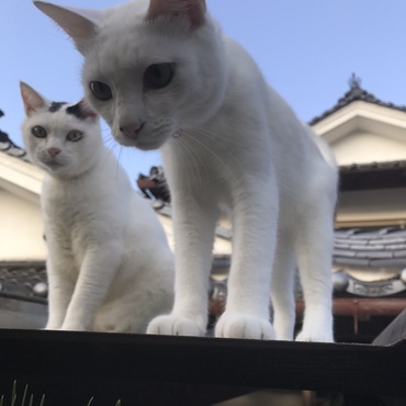 の写真