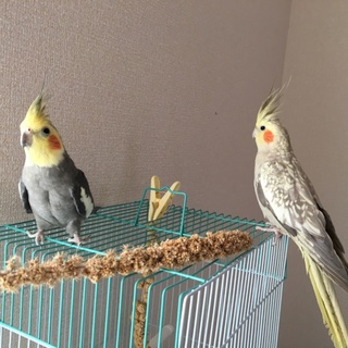 多数のご応募ありがとうございました。