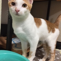 サニー