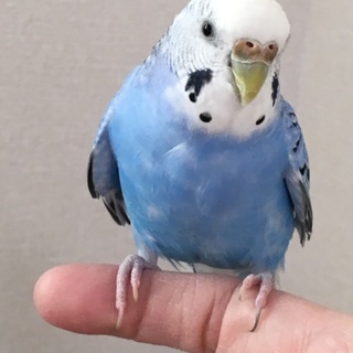 ご応募頂きありがとうございました。