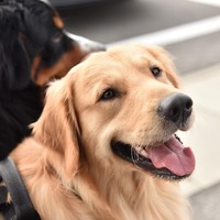 大空（だいすけ）